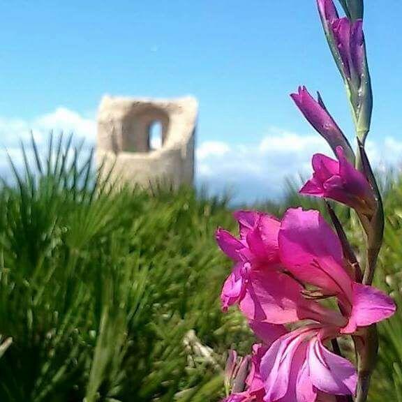 Casa Vacanze Chiara Terrasini Bagian luar foto