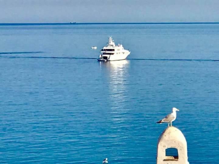 Casa Vacanze Chiara Terrasini Bagian luar foto